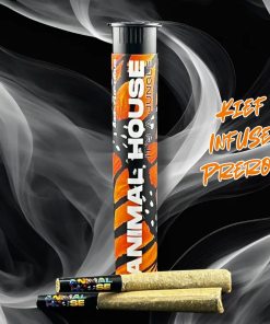 INFUSED PRE-ROLL PACK - SOUR GORILLA - 2 PACK