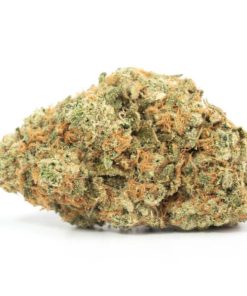 Chocolate Fondue Strain