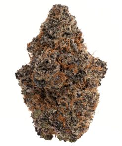 Hippy Crasher Strain